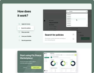 fin peace landing page